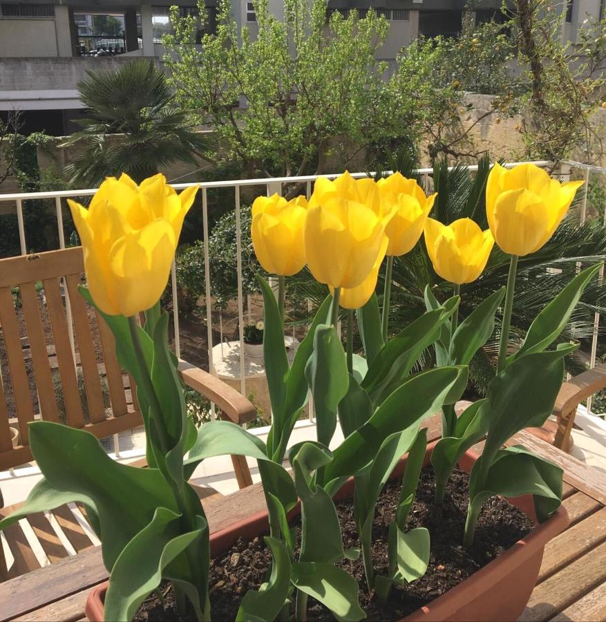 Meraki B&B Lecce Dış mekan fotoğraf