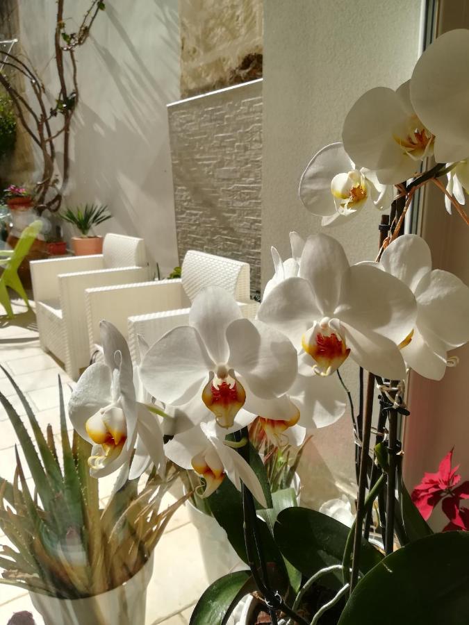 Meraki B&B Lecce Dış mekan fotoğraf